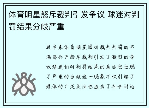 體育明星怒斥裁判引發爭議 球迷對判罰結果分歧嚴重
